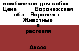 комбинезон для собак › Цена ­ 500 - Воронежская обл., Воронеж г. Животные и растения » Аксесcуары и товары для животных   